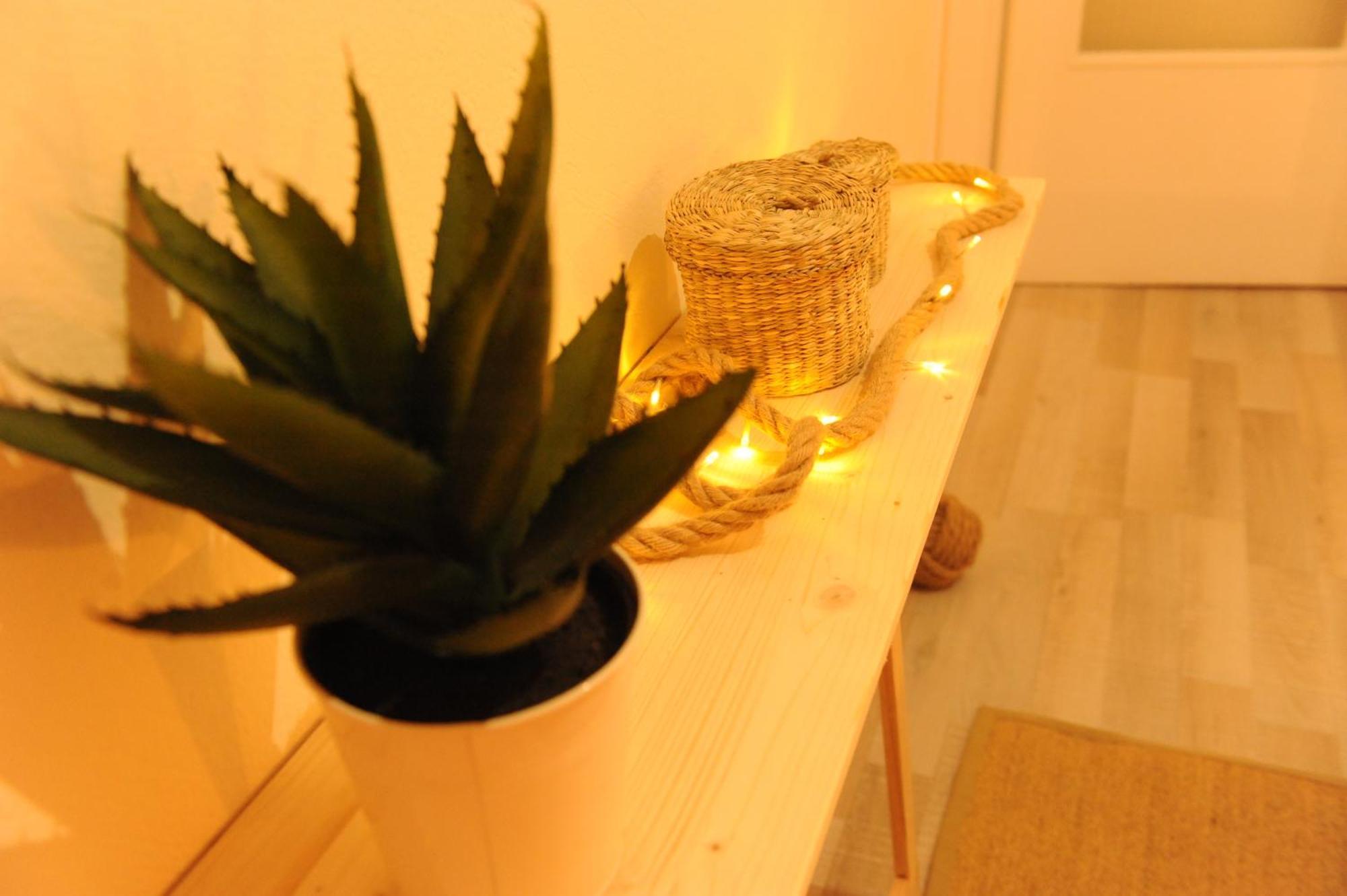 Delphic Moments - Sunny App 3Br, 2Ba With Viewアパートメント エクステリア 写真